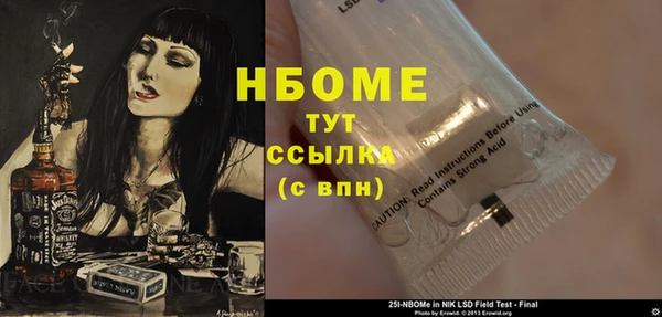 ГАЛЛЮЦИНОГЕННЫЕ ГРИБЫ Лагань