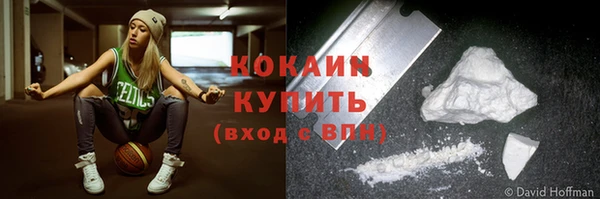ГАЛЛЮЦИНОГЕННЫЕ ГРИБЫ Лагань