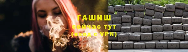 ГАЛЛЮЦИНОГЕННЫЕ ГРИБЫ Лагань