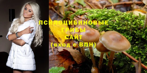 экстази Ладушкин