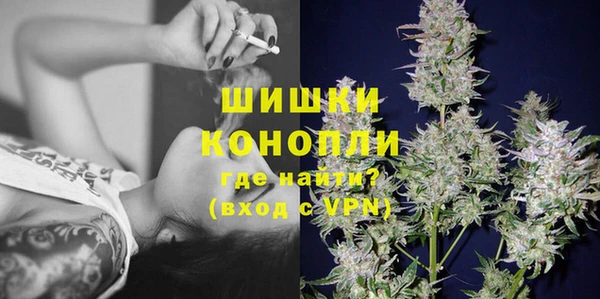 шишки Болохово