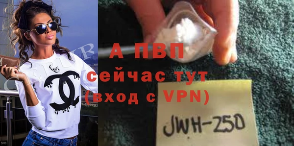 ГАЛЛЮЦИНОГЕННЫЕ ГРИБЫ Лагань