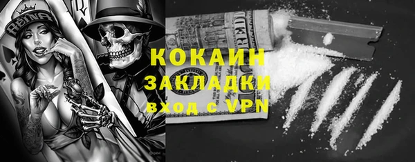 ГАЛЛЮЦИНОГЕННЫЕ ГРИБЫ Лагань