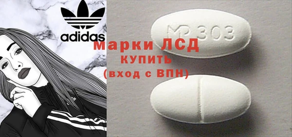 ГАЛЛЮЦИНОГЕННЫЕ ГРИБЫ Лагань
