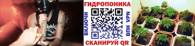 цена наркотик  Далматово  гидра   Конопля OG Kush 